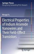 Electrical Properties of Indium Arsenide Nanowires and Their Field-Effect Transistors