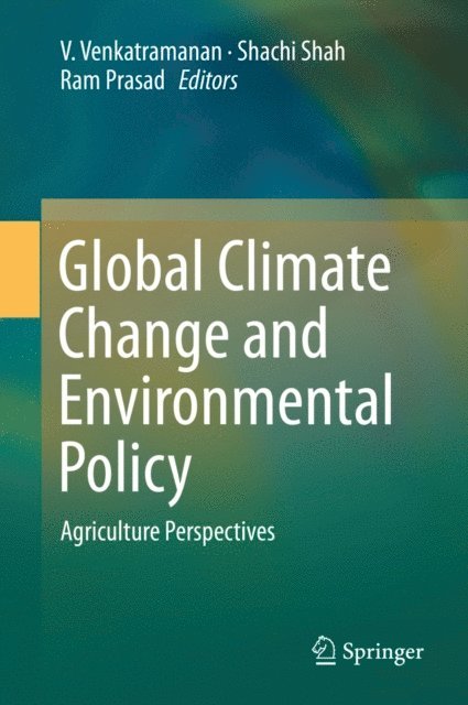 Ram Prasad, Shachi Shah, V. Venkatramanan - Global Climate Change and Environmental Policy, E-bok