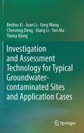 Investigation and Assessment Technology for Typical Groundwater-contaminated Sites and Application Cases