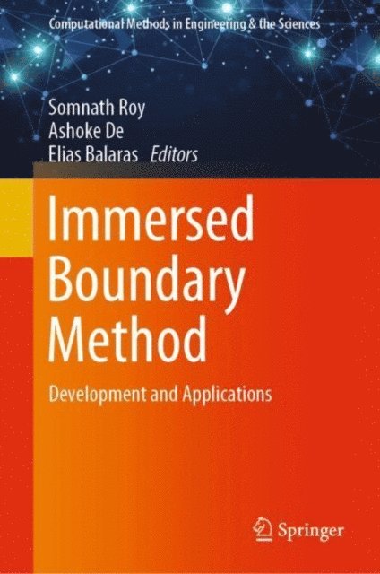 Elias Balaras, Ashoke De, Somnath Roy - Immersed Boundary Method, E-bok