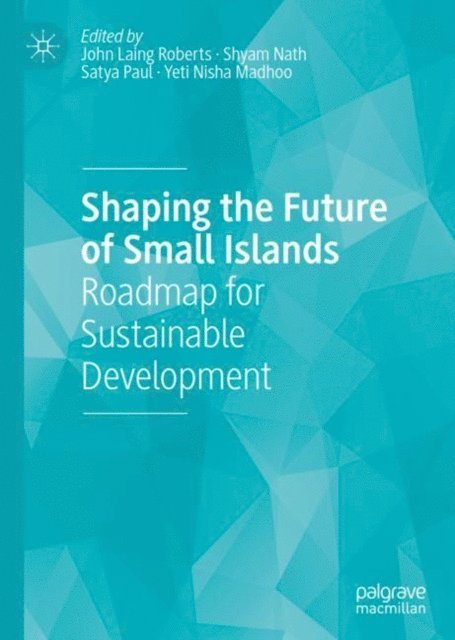 Yeti Nisha Madhoo, Satya Paul, Shyam Nath, John Laing Roberts - Shaping the Future of Small Islands, E-bok