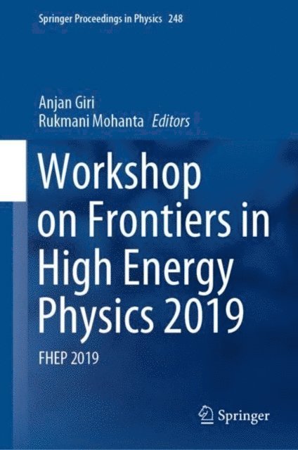 Rukmani Mohanta, Anjan Giri - Workshop on Frontiers in High Energy Physics 2019, E-bok