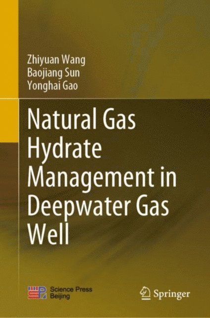 Yonghai Gao, Baojiang Sun, Zhiyuan Wang - Natural Gas Hydrate Management in Deepwater Gas Well, E-bok