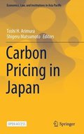 Carbon Pricing in Japan