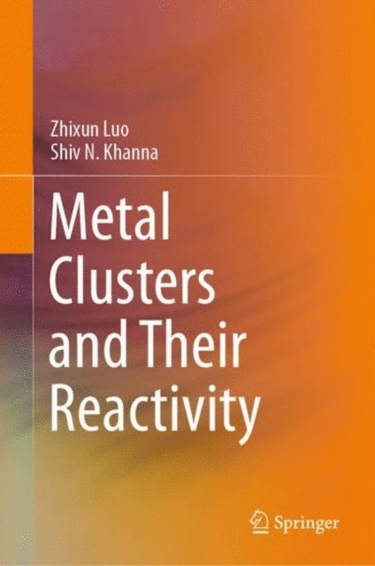 Shiv N. Khanna, Zhixun Luo - Metal Clusters and Their Reactivity, E-bok