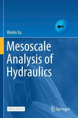 Weilin Xu - Mesoscale Analysis of Hydraulics, Häftad