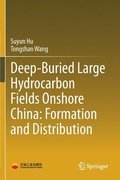 Deep-Buried Large Hydrocarbon Fields Onshore China: Formation and Distribution