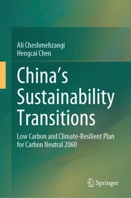 Hengcai Chen, Ali Cheshmehzangi - China's Sustainability Transitions, E-bok