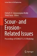 Scour- and Erosion-Related Issues