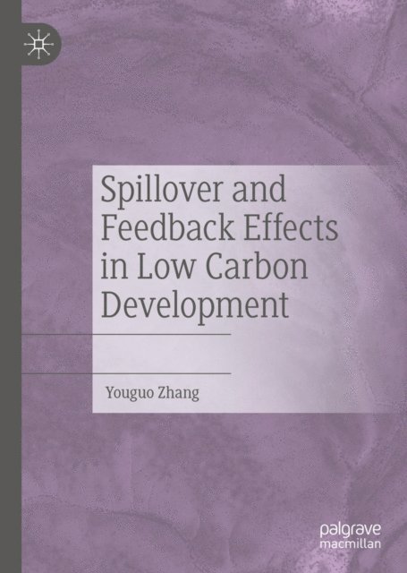 Youguo Zhang - Spillover and Feedback Effects in Low Carbon Development, E-bok