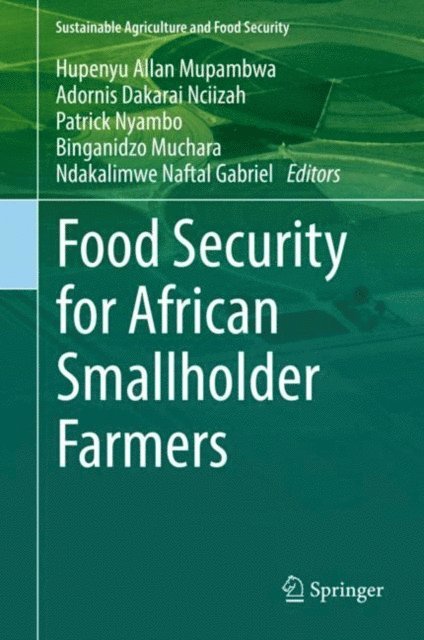 Ndakalimwe Naftal Gabriel, Binganidzo Muchara, Patrick Nyambo, Adornis Dakarai Nciizah, Hupenyu Allan Mupambwa - Food Security for African Smallholder Farmers, E-bok