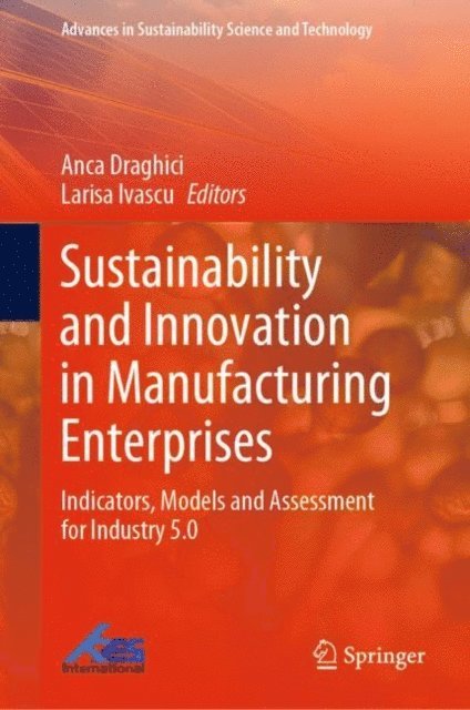 Larisa Ivascu, Anca Draghici - Sustainability and Innovation in Manufacturing Enterprises, E-bok