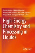 High-Energy Chemistry and Processing in Liquids