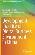 Development Practice of Digital Business Environment in China