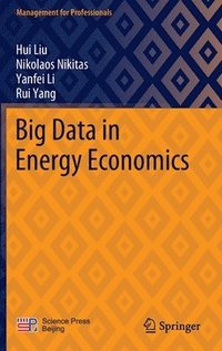 Big Data in Energy Economics