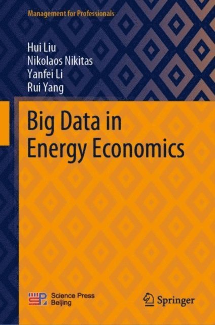 Rui Yang, Yanfei Li, Nikolaos Nikitas, Hui Liu - Big Data in Energy Economics, E-bok