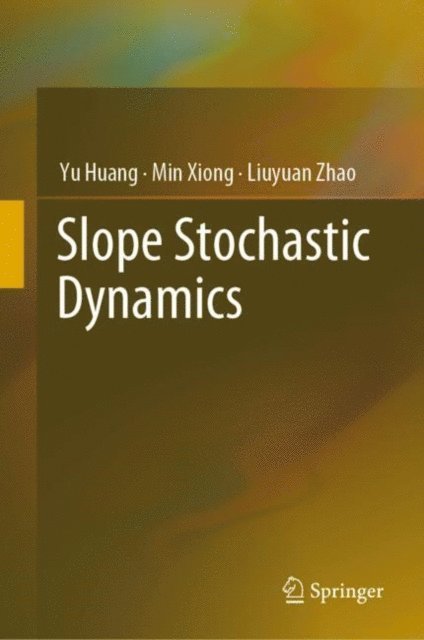 Liuyuan Zhao, Min Xiong, Yu Huang - Slope Stochastic Dynamics, E-bok