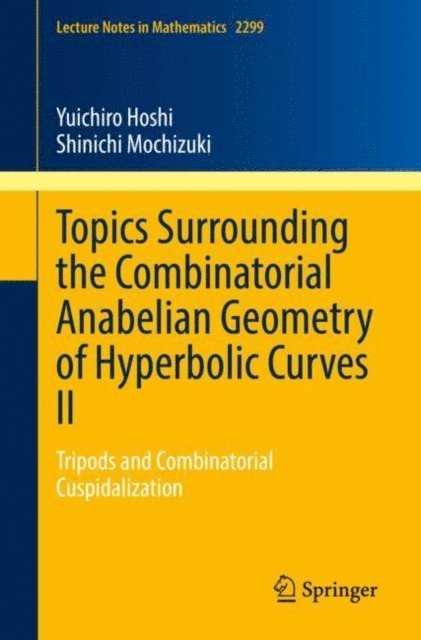 Shinichi Mochizuki, Yuichiro Hoshi - Topics Surrounding the Combinatorial Anabelian Geometry of Hyperbolic Curves II, E-bok