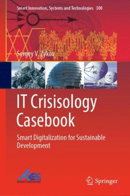 Sergey V. Zykov - IT Crisisology Casebook, E-bok