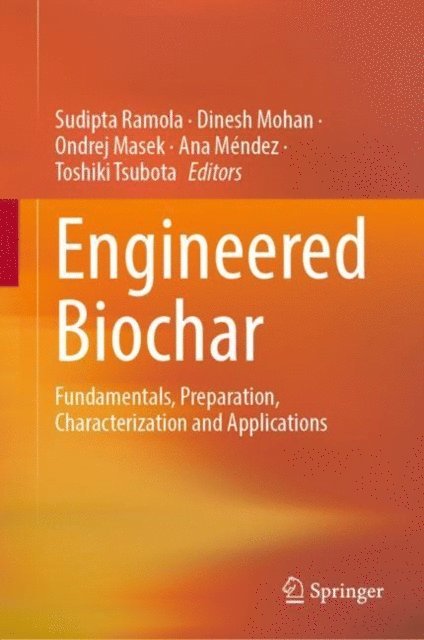 Toshiki Tsubota, Ana Mendez, Ondrej Masek, Dinesh Mohan, Sudipta Ramola - Engineered Biochar, E-bok