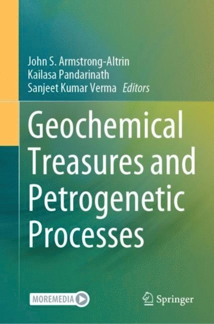 Sanjeet Kumar Verma, Kailasa Pandarinath, John S. Armstrong-Altrin - Geochemical Treasures and Petrogenetic Processes, E-bok