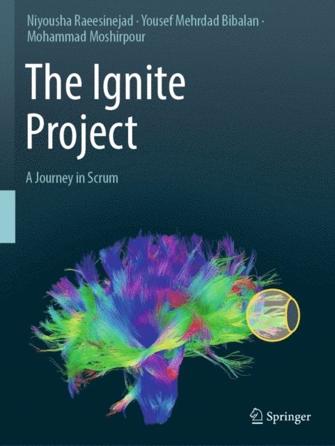 Mohammad Moshirpour, Yousef Mehrdad Bibalan, Niyousha Raeesinejad - Ignite Project, E-bok