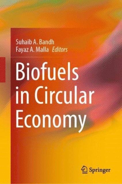 Fayaz A. Malla, Suhaib A. Bandh - Biofuels in Circular Economy, E-bok