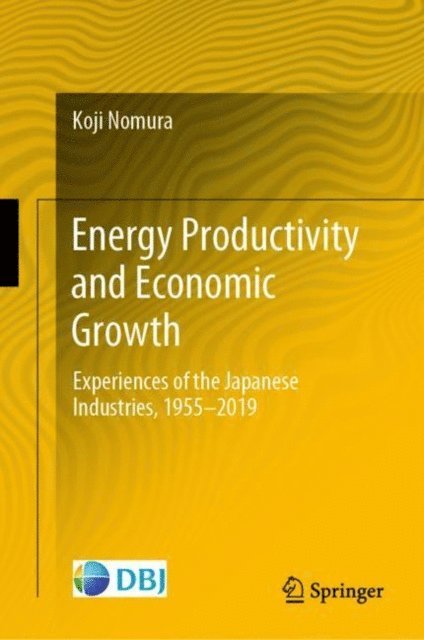 Koji Nomura - Energy Productivity and Economic Growth, E-bok