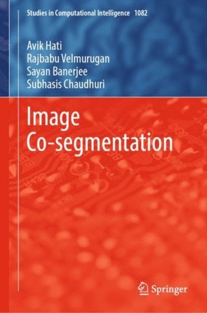 Subhasis Chaudhuri, Sayan Banerjee, Rajbabu Velmurugan, Avik Hati - Image Co-segmentation, E-bok
