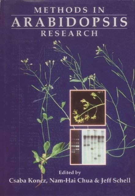 Schell Jeff Schell, Koncz Csaba Koncz, Chua Nam-hai Chua - Methods In Arabidopsis Research, E-bok