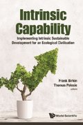 Intrinsic Capability: Implementing Intrinsic Sustainable Development For An Ecological Civilisation