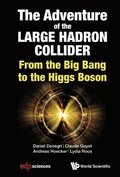 Adventure Of The Large Hadron Collider, The: From The Big Bang To The Higgs Boson