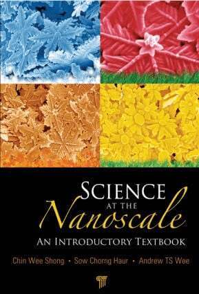 Science at the Nanoscale by Andrew T S Wee, Chorng Haur Sow, Chin Wee Shong