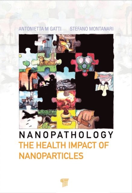 Antonietta M. Gatti, Stefano Montanari - Nanopathology, E-bok