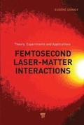 Femtosecond Laser-Matter Interaction