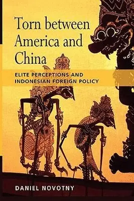 Daniel Novotny - Torn Between America and China, Häftad. Tillgänglighet: Lägg i varukorg