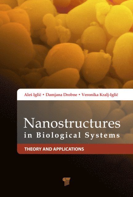 Veronika Kralj-IgliA, Damjana Drobne, AleA! IgliA - Nanostructures in Biological Systems, E-bok