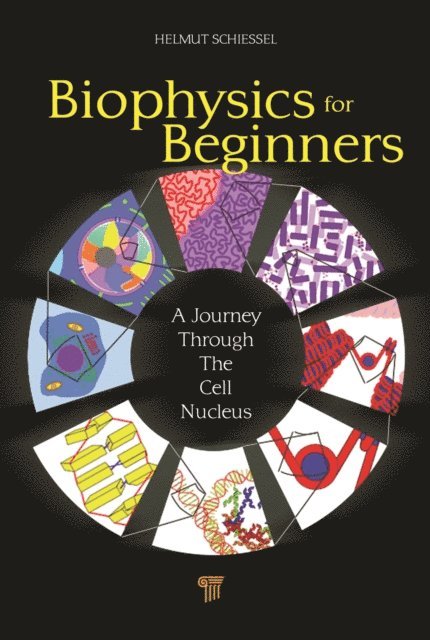 Helmut Schiessel - Biophysics for Beginners, E-bok