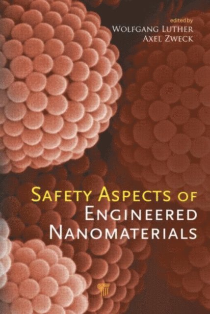 Axel Zweck, Wolfgang Luther - Safety Aspects of Engineered Nanomaterials, E-bok