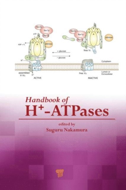 Suguru Nakamura - Handbook of H+-ATPases, E-bok. Tillgänglighet: Lägg i varukorg
