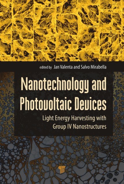 Salvo Mirabella, Jan Valenta - Nanotechnology and Photovoltaic Devices, E-bok