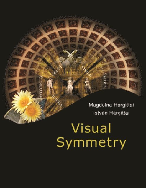 Hargittai Istvan Hargittai, Hargittai Magdolna Hargittai - Visual Symmetry, E-bok