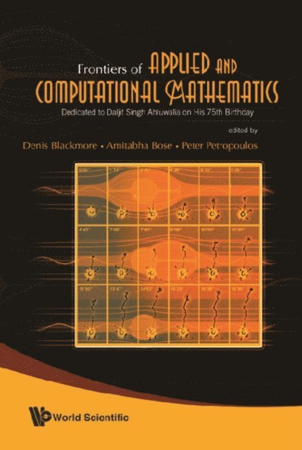 Petropoulos Peter G Petropoulos, Bose Amitabha Bose, Blackmore Denis Blackmore - Frontiers Of Applied And Computational Mathematics: Dedicated To Daljit Singh Ahluwalia On His 75th Birthday - Proceedings Of The 2008 Conference On Facm'08, E-bok