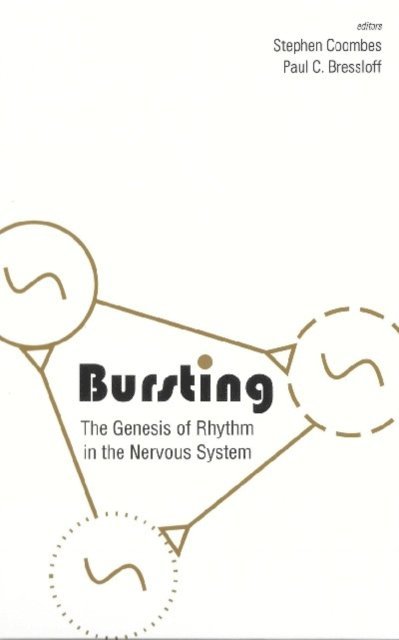 Bressloff Paul Bressloff, Coombes Steve Coombes - Bursting: The Genesis Of Rhythm In The Nervous System, E-bok