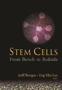 Stem Cells: From Bench To Bedside