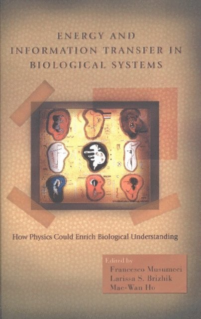 Ho Mae-wan Ho, Brizhik Larissa Brizhik, Musumeci Francesco Musumeci - Energy And Information Transfer In Biological Systems: How Physics Could Enrich Biological Understanding - Proceedings Of The International Workshop, E-bok