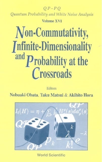 Hora Akihito Hora, Obata Nobuaki Obata, Matsui Taku Matsui - Non-commutativity, Infinite-dimensionality And Probability At The Crossroads, Procs Of The Rims Workshop On Infinite-dimensional Analysis And Quantum Probability, E-bok