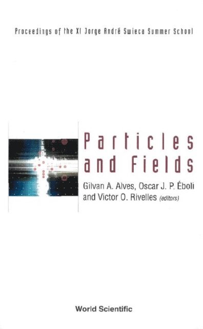 Rivelles Victor Oliveira Rivelles, Eboli Oscar J P Eboli, Alves Gilvan August Alves - Particles And Fields: Proceedings Of The Xi Jorge Andre Swieca Summer School, E-bok