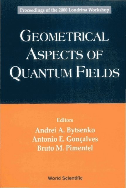 Pimentel Bruto M Pimentel, Goncalves Antonio E Goncalves, Bytsenko Andrei A Bytsenko - Geometrical Aspects Of Quantum Fields - Proceedings Of The 2000 Londrina Workshop, E-bok