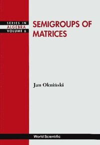 Semigroups Of Matrices